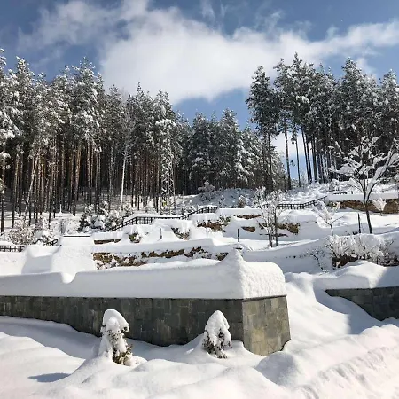 Апарт-отель Ruskovets Thermal &