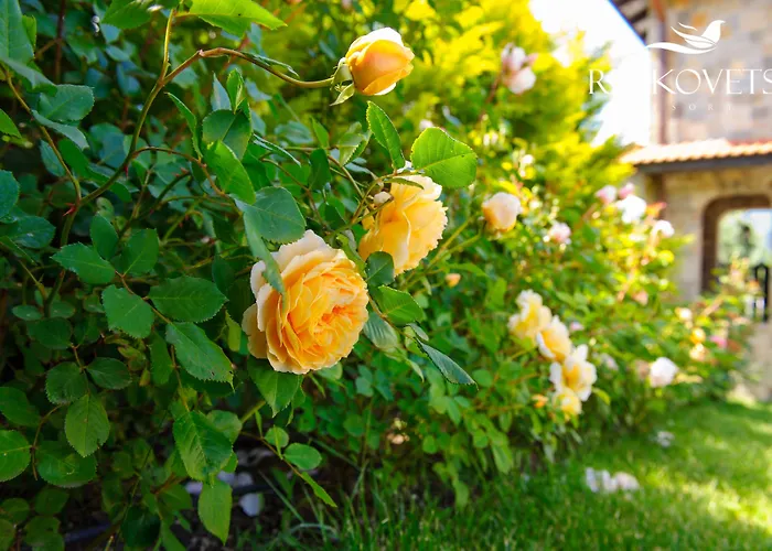 Ruskovets Thermal & 班斯科